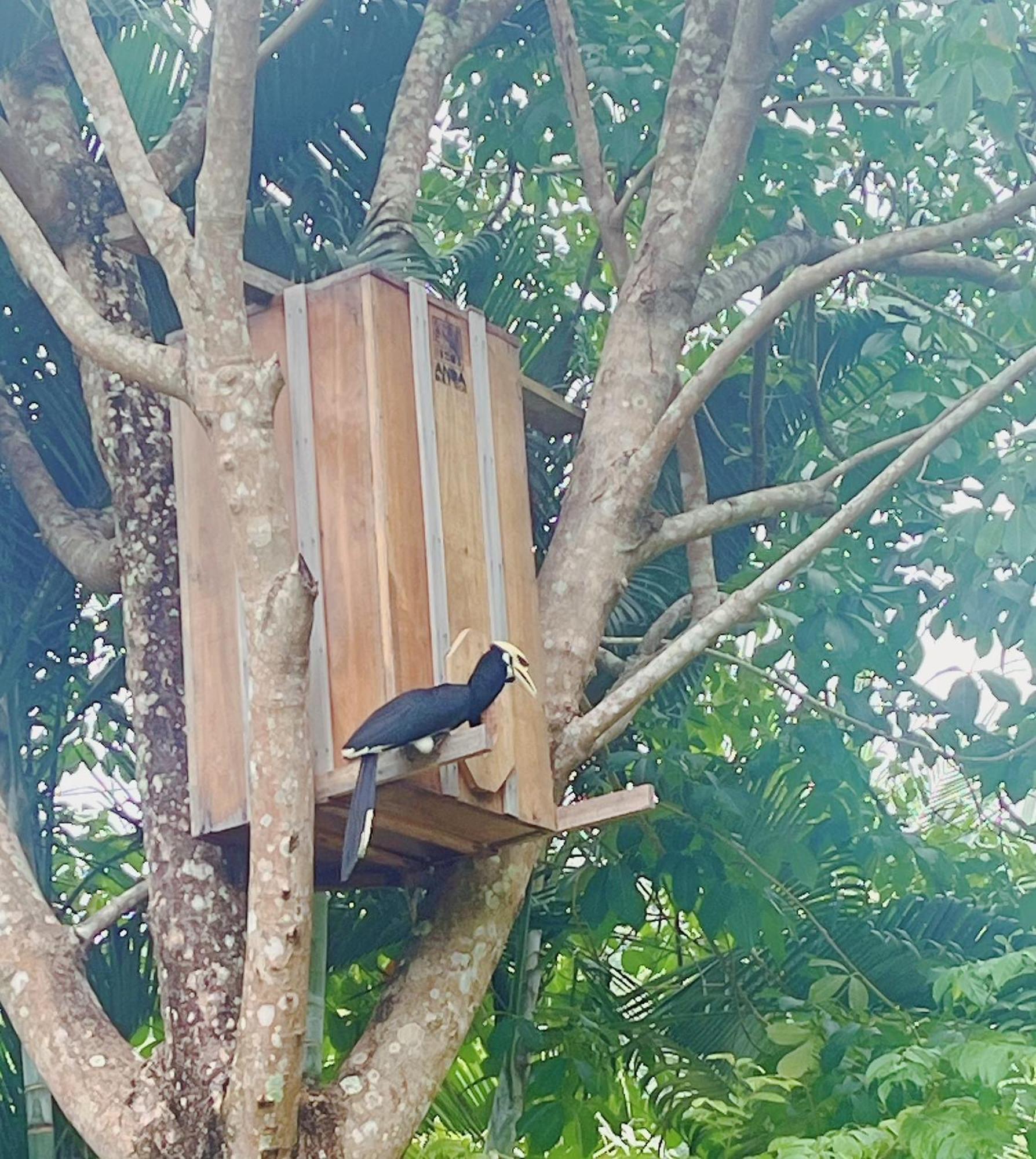 Najjamee Bungalows Ko Yao Noi Esterno foto